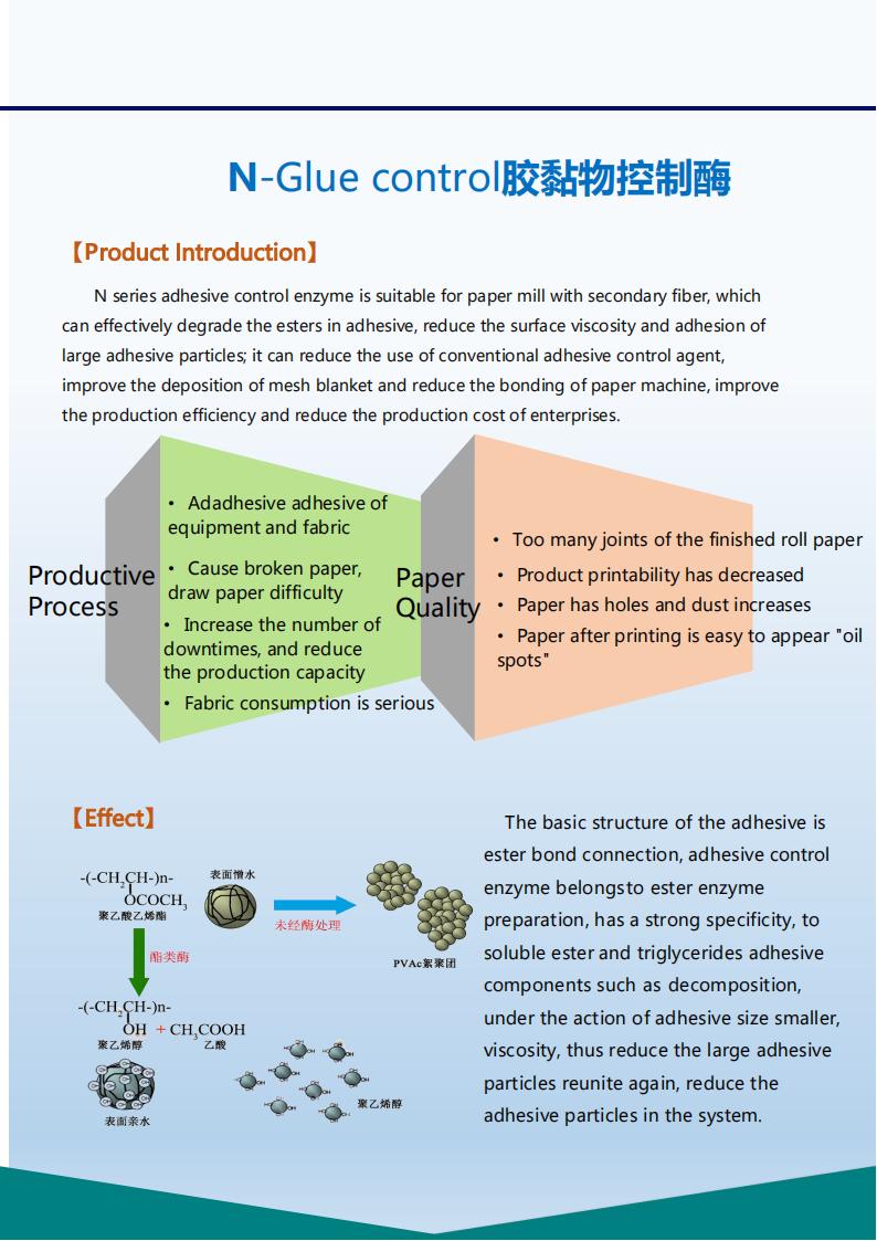 Glue control Enzymes01